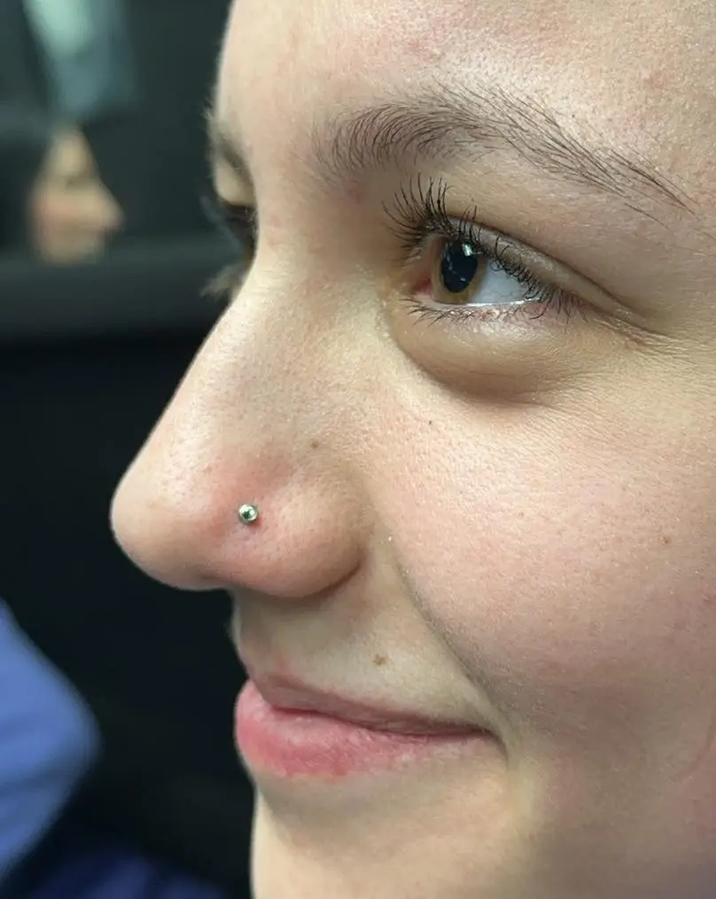 Professional Piercing in Jenison MI Professional Piercing in Jenison MI