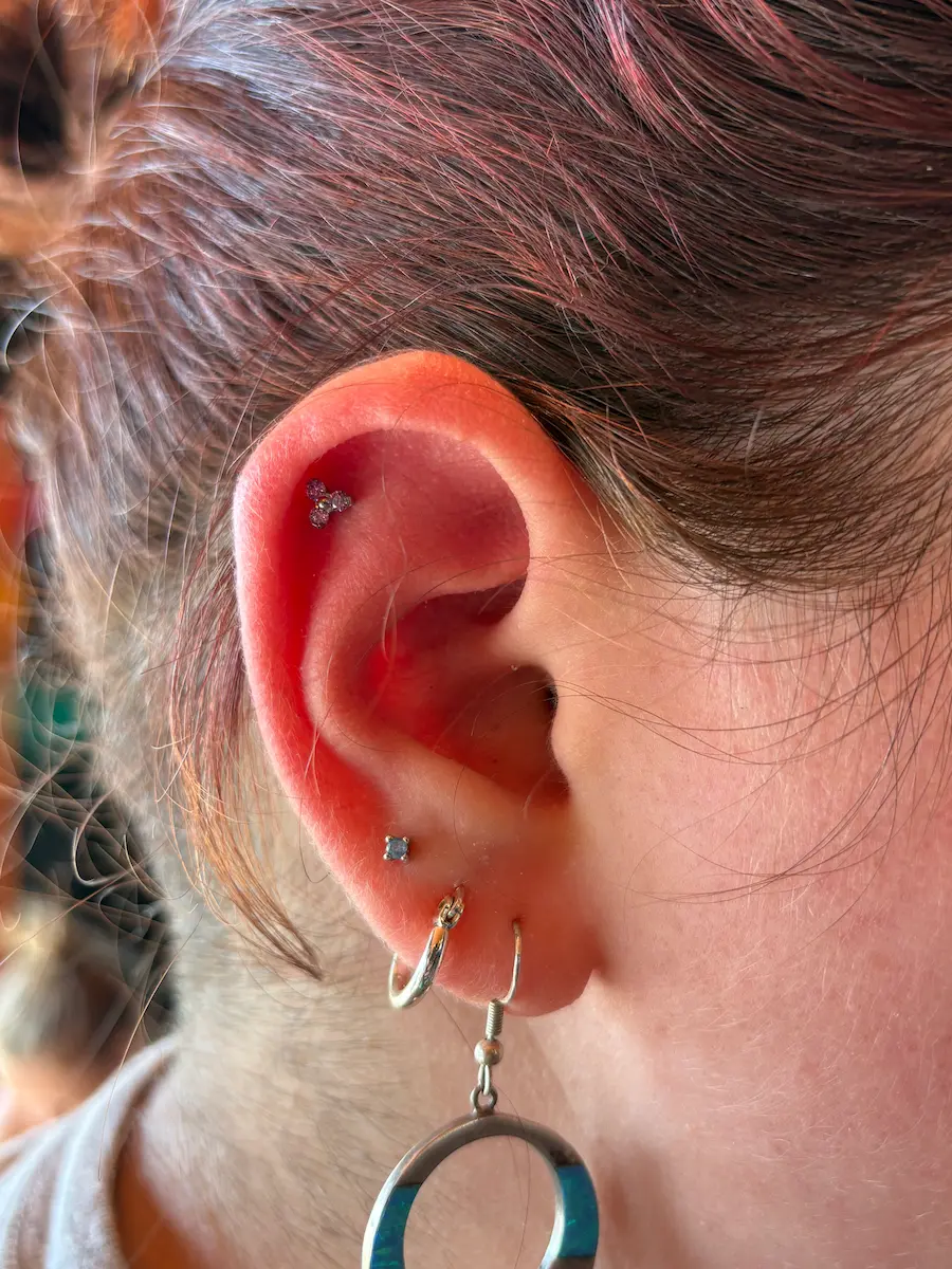 Professional Piercing in Jenison MI Professional Piercing in Jenison MI