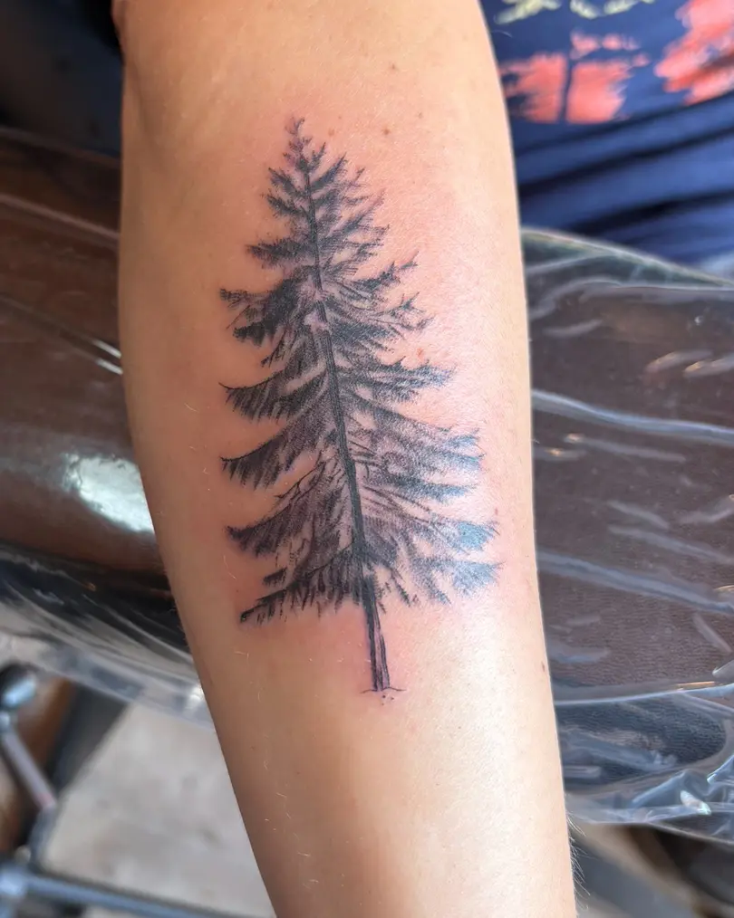 Quality Tattoo in Jenison MI Quality Tattoo in Jenison MI